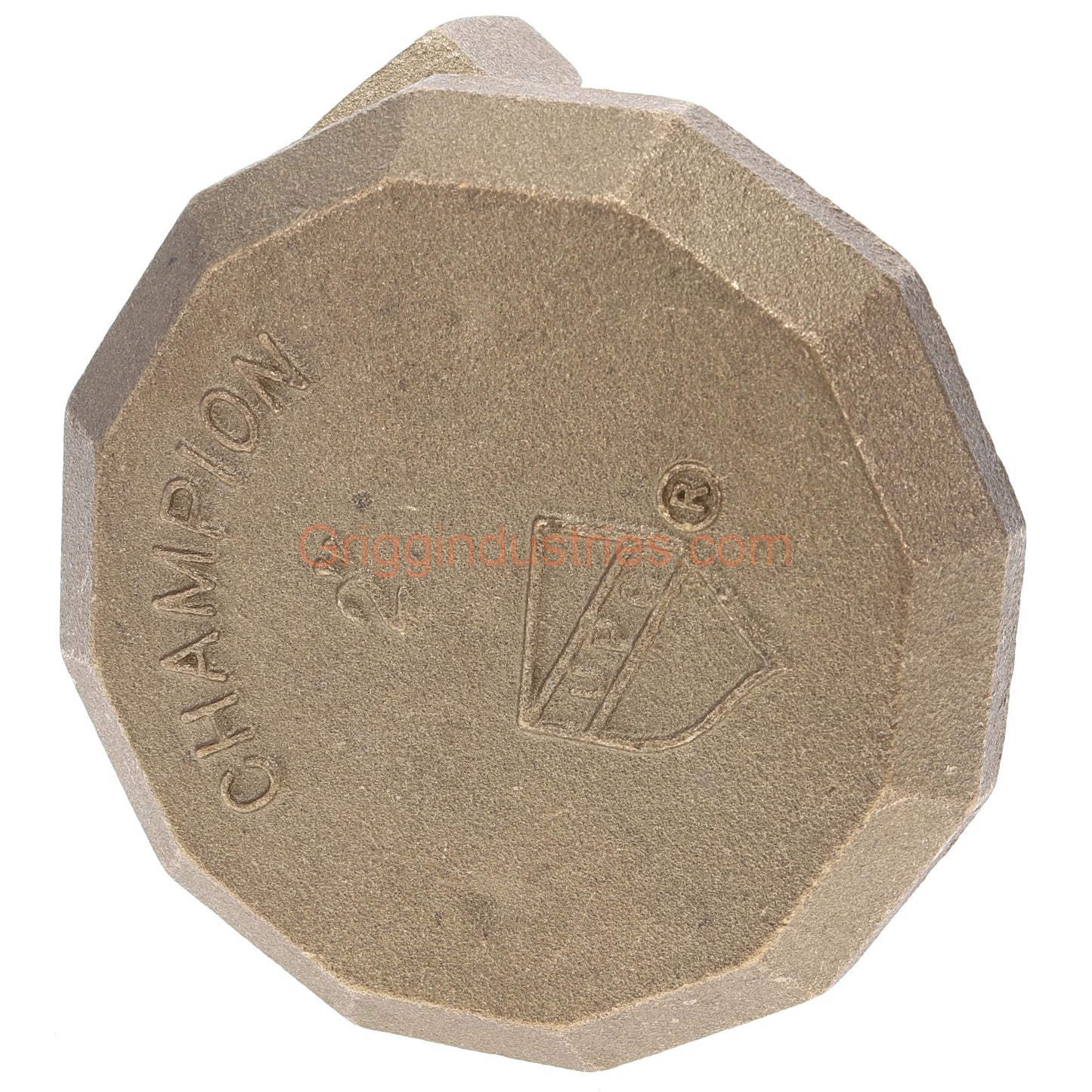 Champion Irrigation 262-200Y 2" Angled Atmospheric Vacuum Breaker