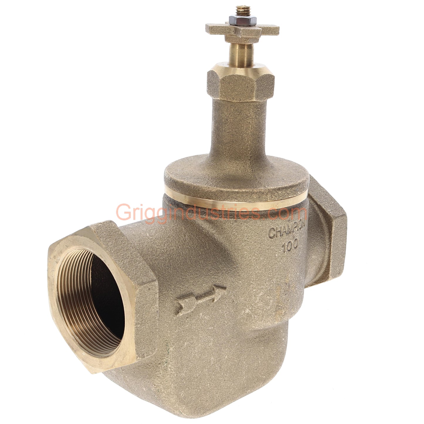 Champion Irrigation Manual Valve With 2" Rising Swivel