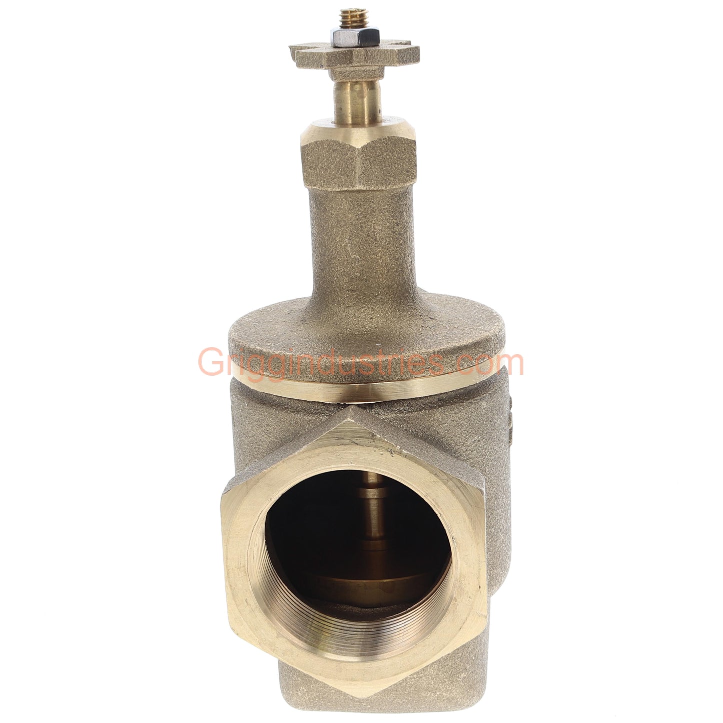 Champion Irrigation Manual Valve With 2" Rising Swivel
