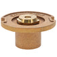 Champion Irrigation 17SH Brass Sprinkler Body With Half Circle Nozzle