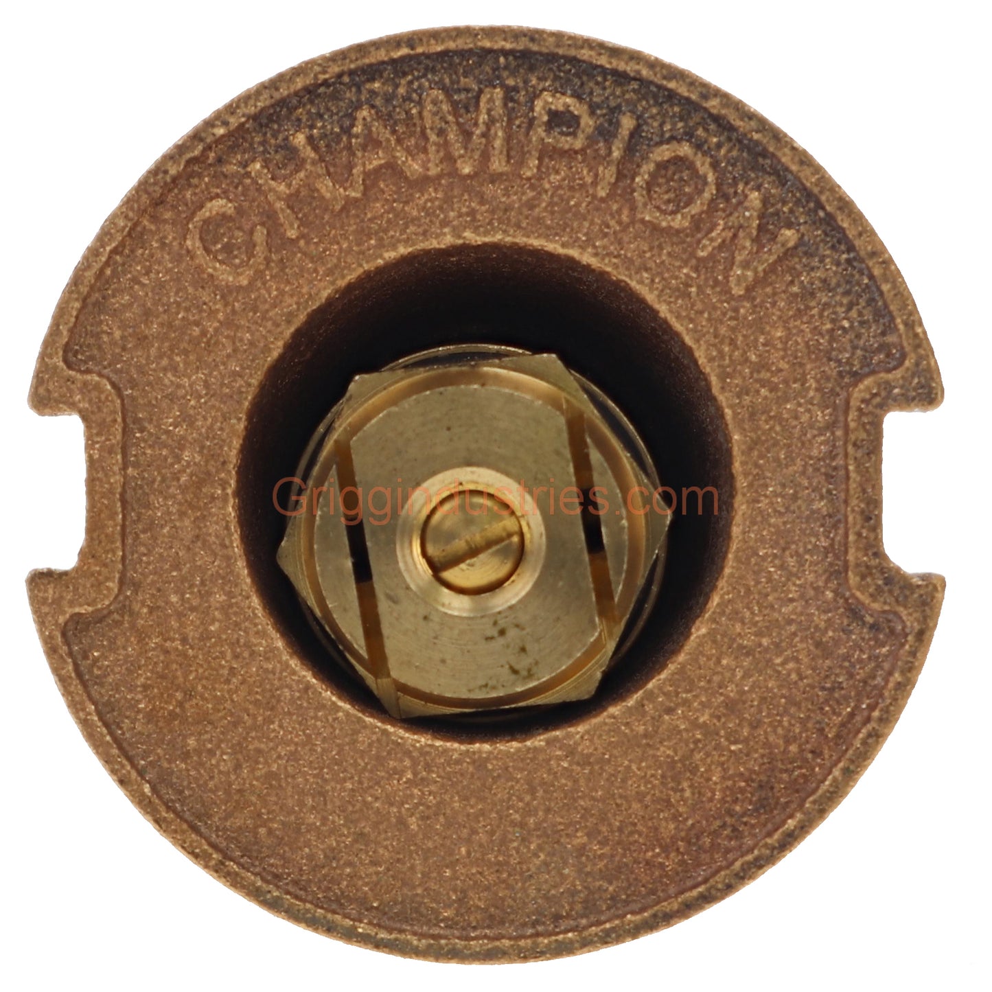 Champion Irrigation 18SS Side Strip Spray Brass Pop-up Sprinkler