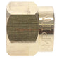 Champion Irrigation 19 Brass Sprinkler Shrub Adapter Body