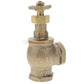 Champion Irrigation 200-100Y 1" Manual Angle Irrigation Valve