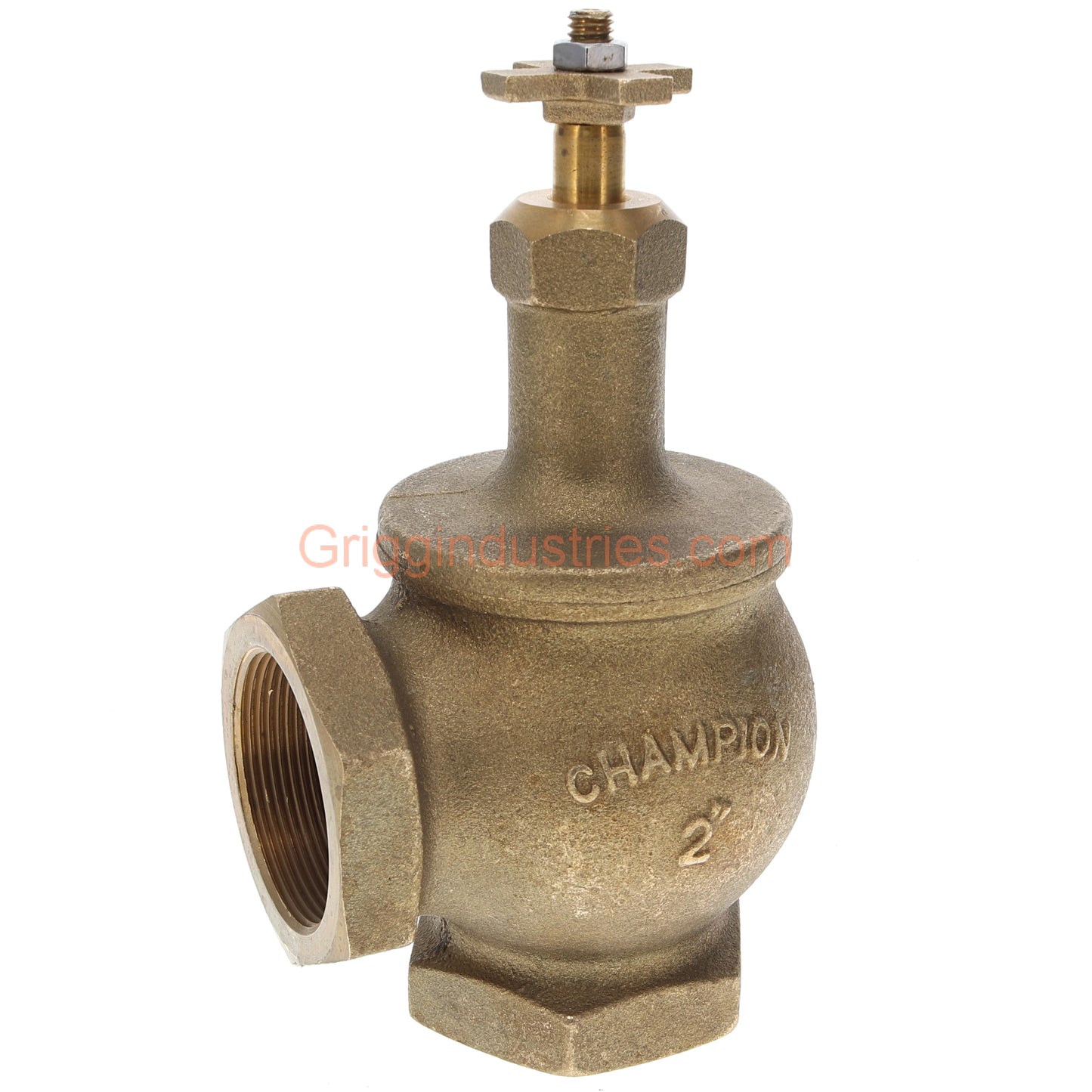 Champion 200RS-200Y 2" Manual Angle Valve With Rising Swivel