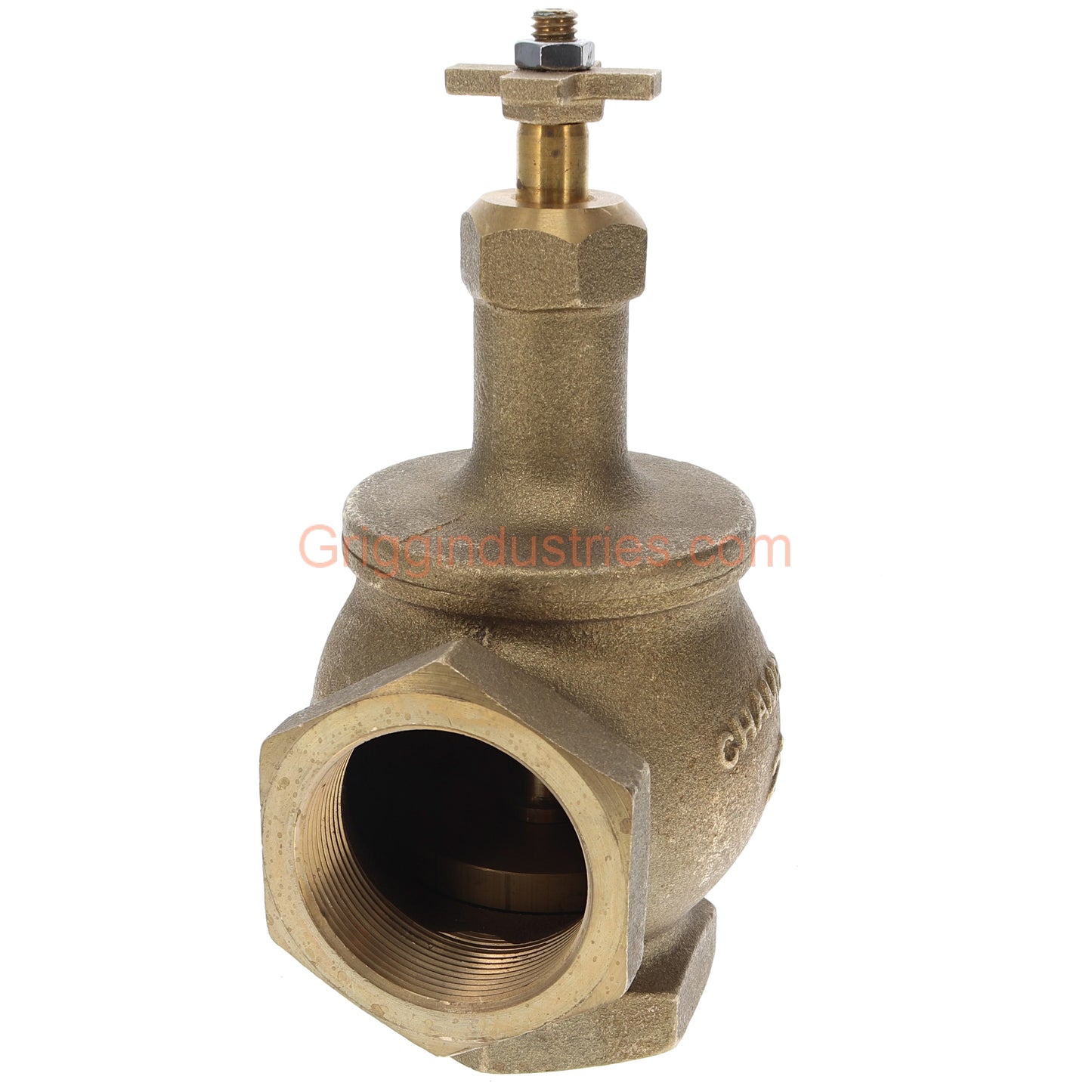 Champion 200RS-200Y 2" Manual Angle Valve With Rising Swivel
