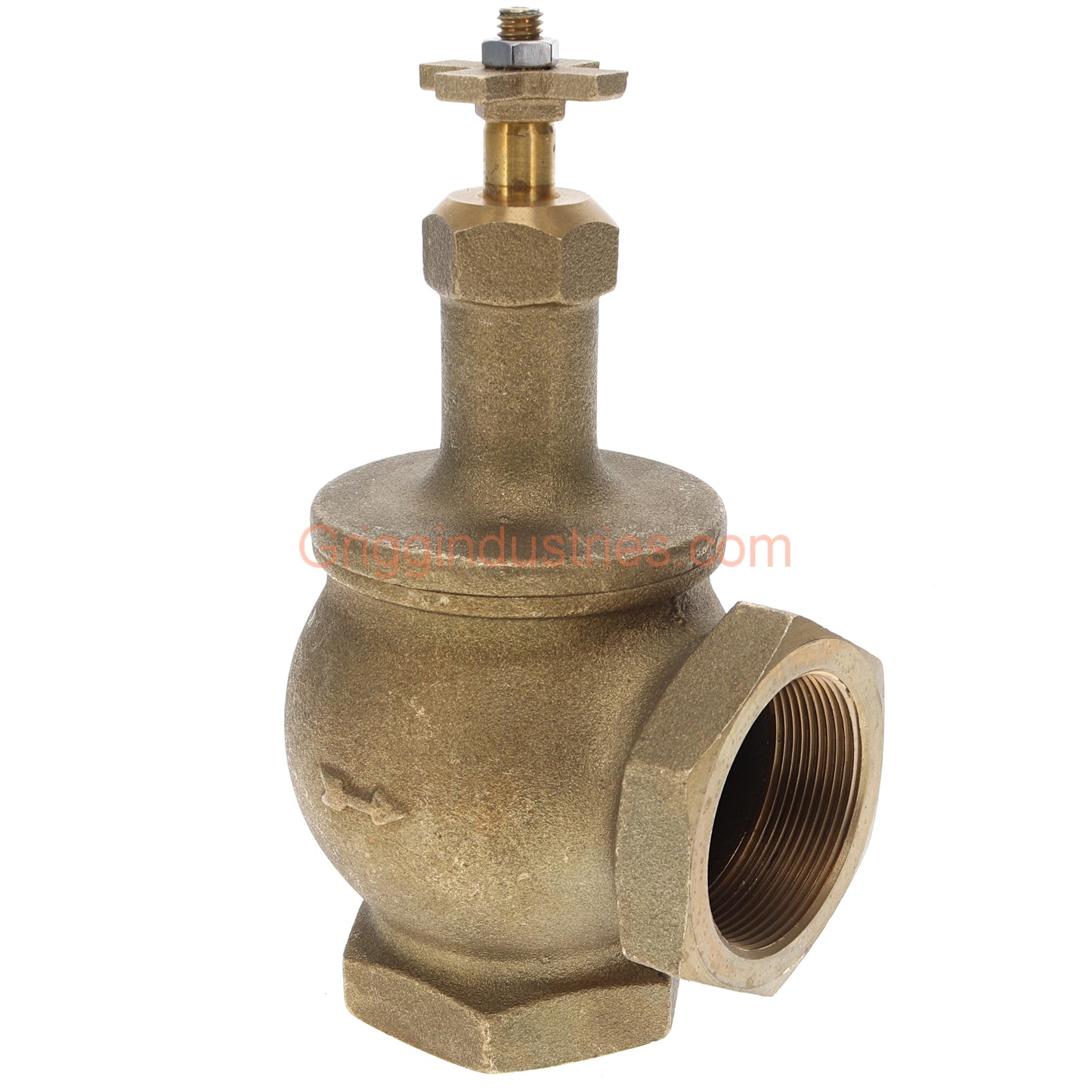 Champion 200RS-200Y 2" Manual Angle Valve With Rising Swivel