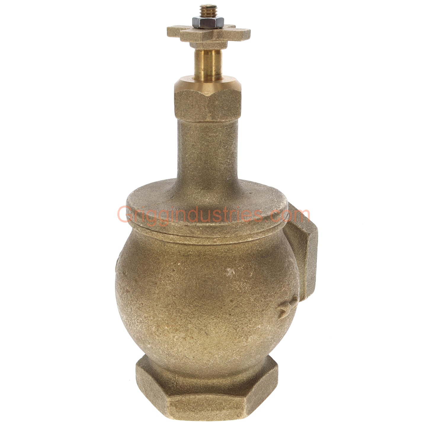 Champion 200RS-200Y 2" Manual Angle Valve With Rising Swivel