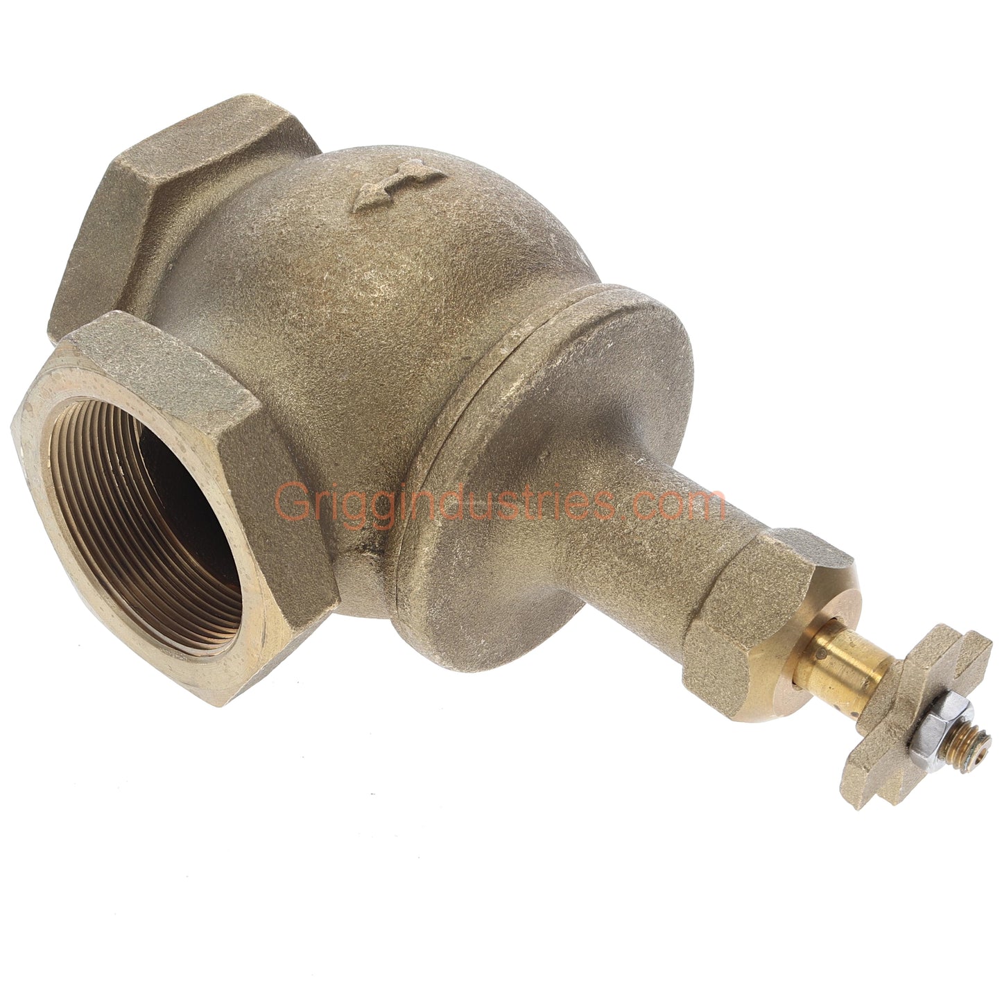 Champion 200RS-200Y 2" Manual Angle Valve With Rising Swivel