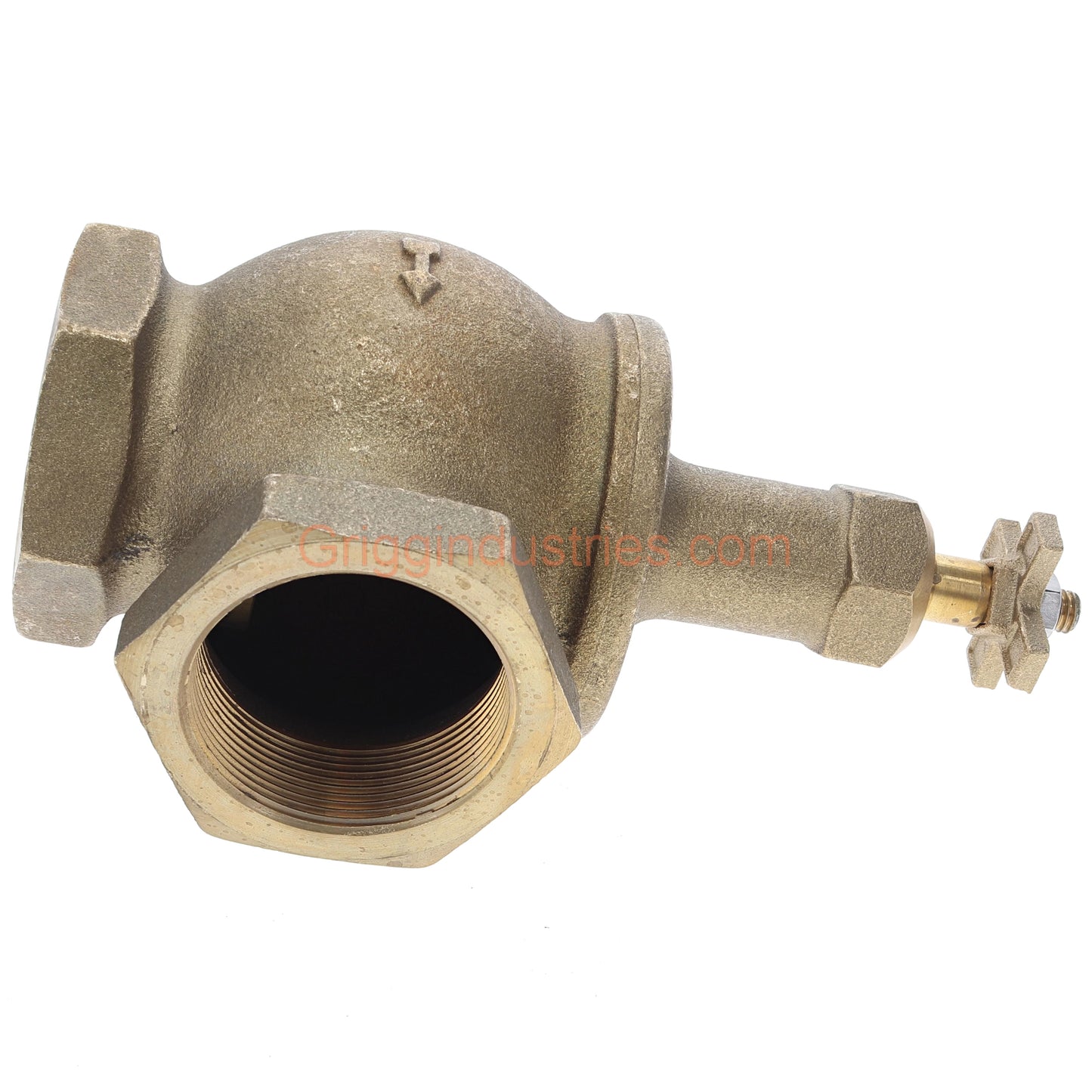 Champion 200RS-200Y 2" Manual Angle Valve With Rising Swivel