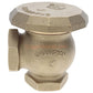 Champion Irrigation 262-200Y 2" Angled Atmospheric Vacuum Breaker