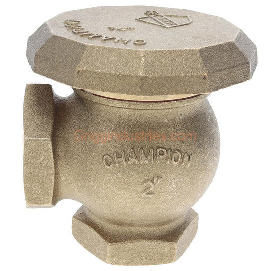 Champion Irrigation 262-200Y 2" Angled Atmospheric Vacuum Breaker