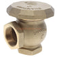 Champion Irrigation 262-200Y 2" Angled Atmospheric Vacuum Breaker