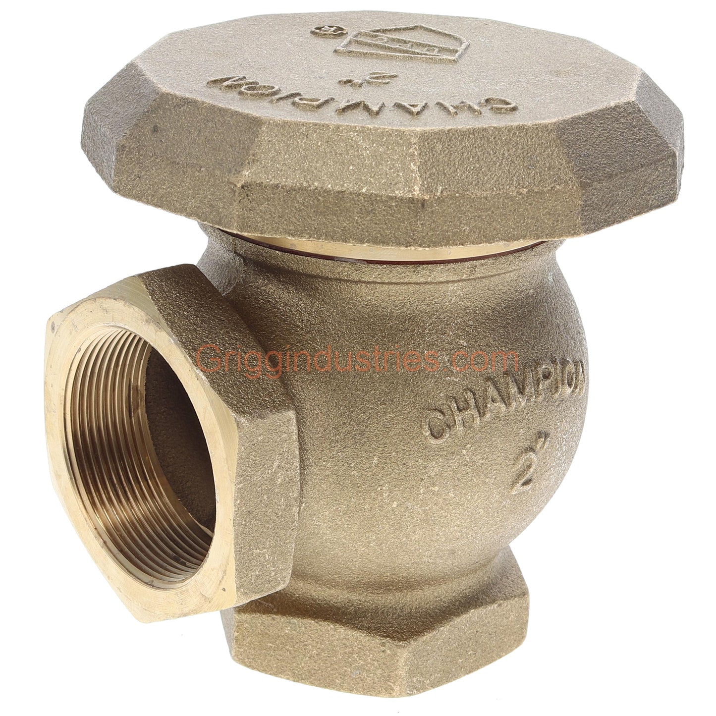 Champion Irrigation 262-200Y 2" Angled Atmospheric Vacuum Breaker