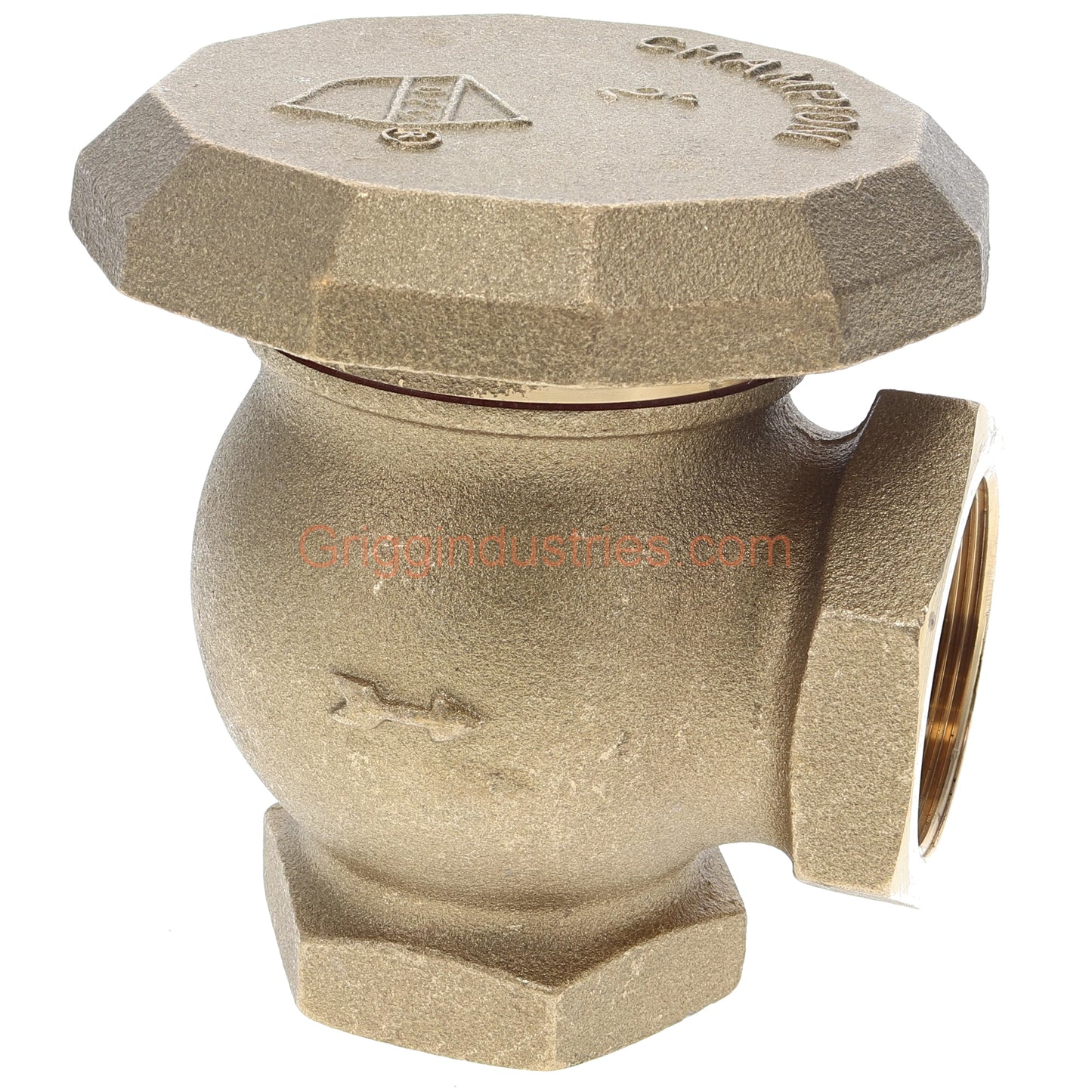 Champion Irrigation 262-200Y 2" Angled Atmospheric Vacuum Breaker