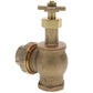 Champion Irrigation 300-100Y 1" Manual Angle Irrigation Valve W/ Union