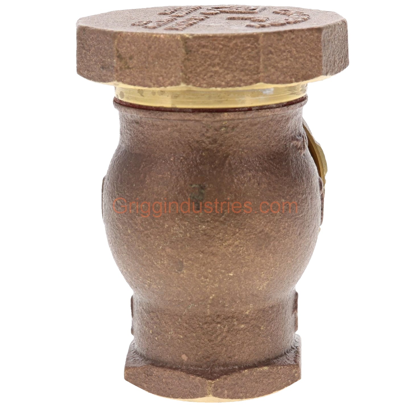 Champion Irrigation 362-100Y 1" Angled Atmospheric Vacuum Breaker With Union