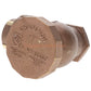 Champion Irrigation 362-100Y 1" Angled Atmospheric Vacuum Breaker With Union