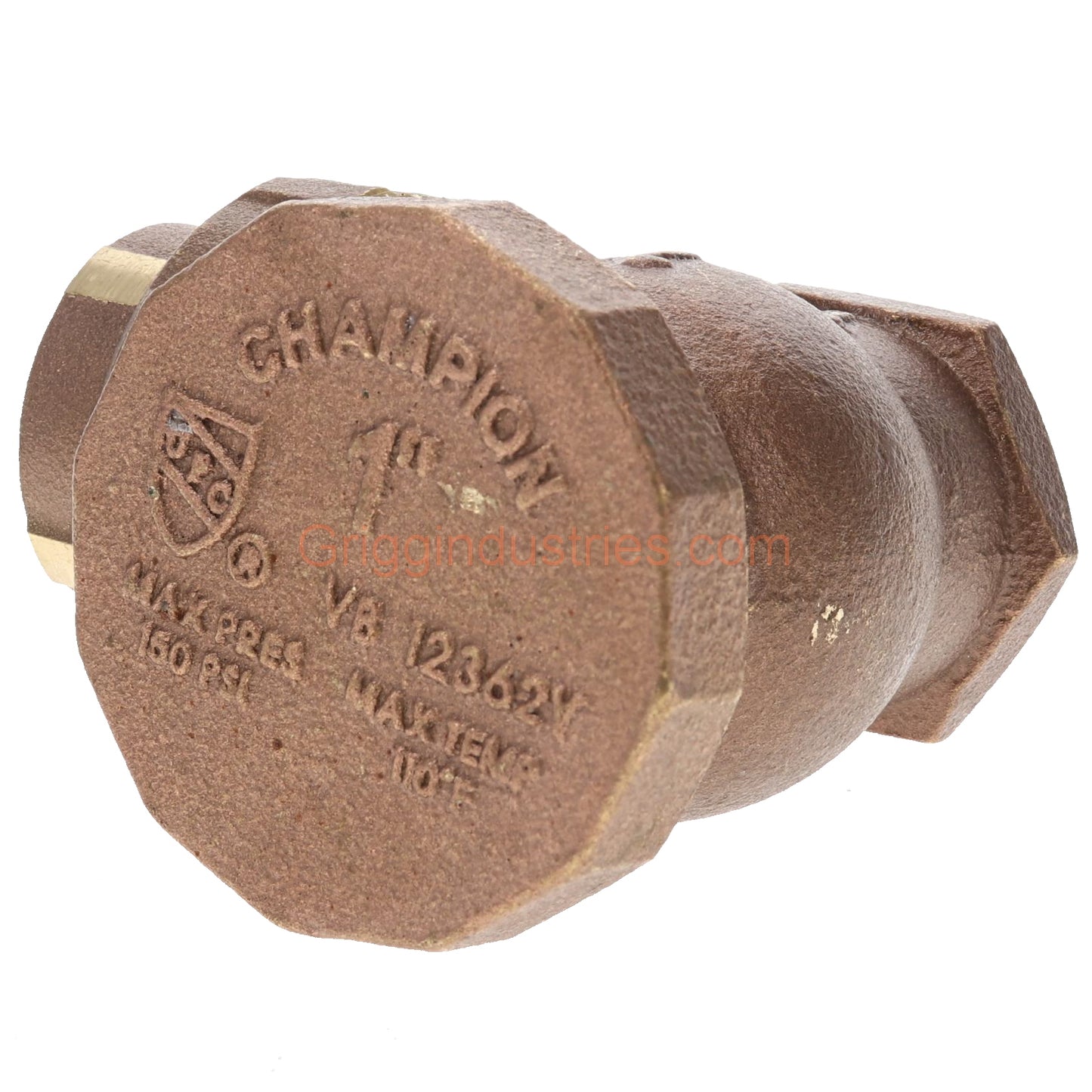 Champion Irrigation 362-100Y 1" Angled Atmospheric Vacuum Breaker With Union