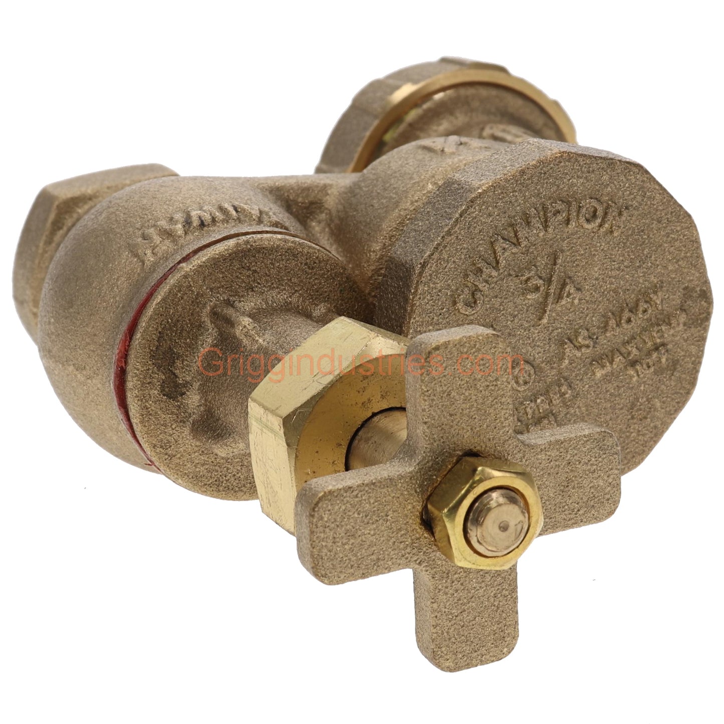 Champion Irrigation 466-075Y 3/4" Anti-Siphon Valve With Union