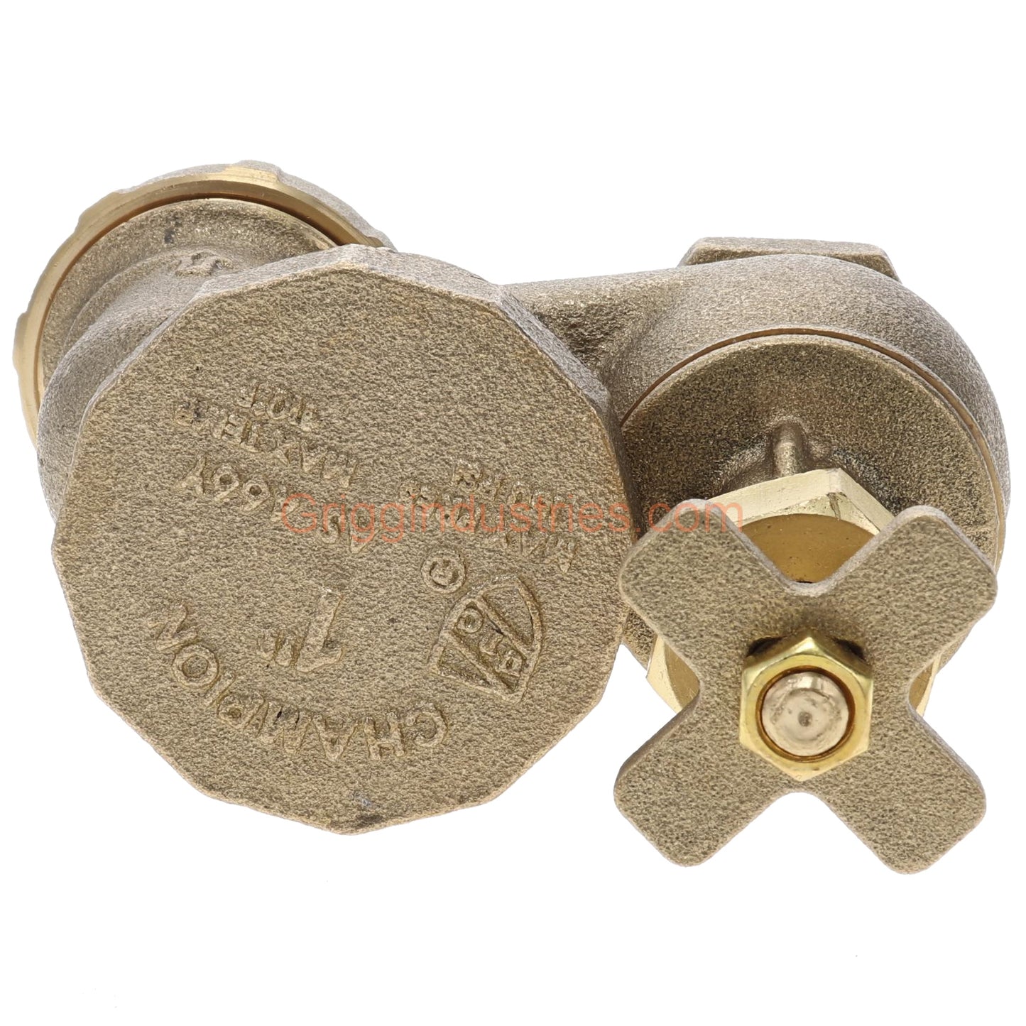 Champion Irrigation 466-100Y 1" Anti-Siphon Valve With Union