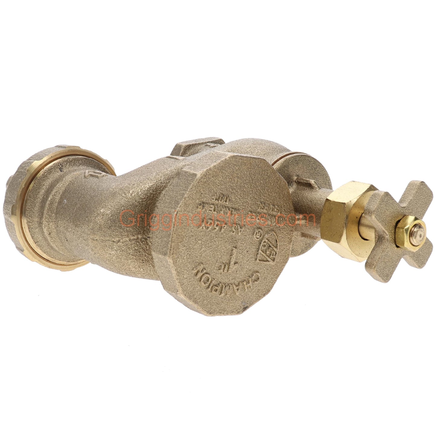 Champion Irrigation 466-100Y 1" Anti-Siphon Valve With Union