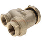 Champion Irrigation 466-100Y 1" Anti-Siphon Valve With Union