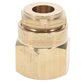 Champion Irrigation B6F Brass Shrub Adapter And Bubbler