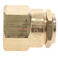 Champion Irrigation B6F Brass Shrub Adapter And Bubbler