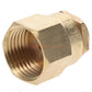 Champion Irrigation B6F Brass Shrub Adapter And Bubbler