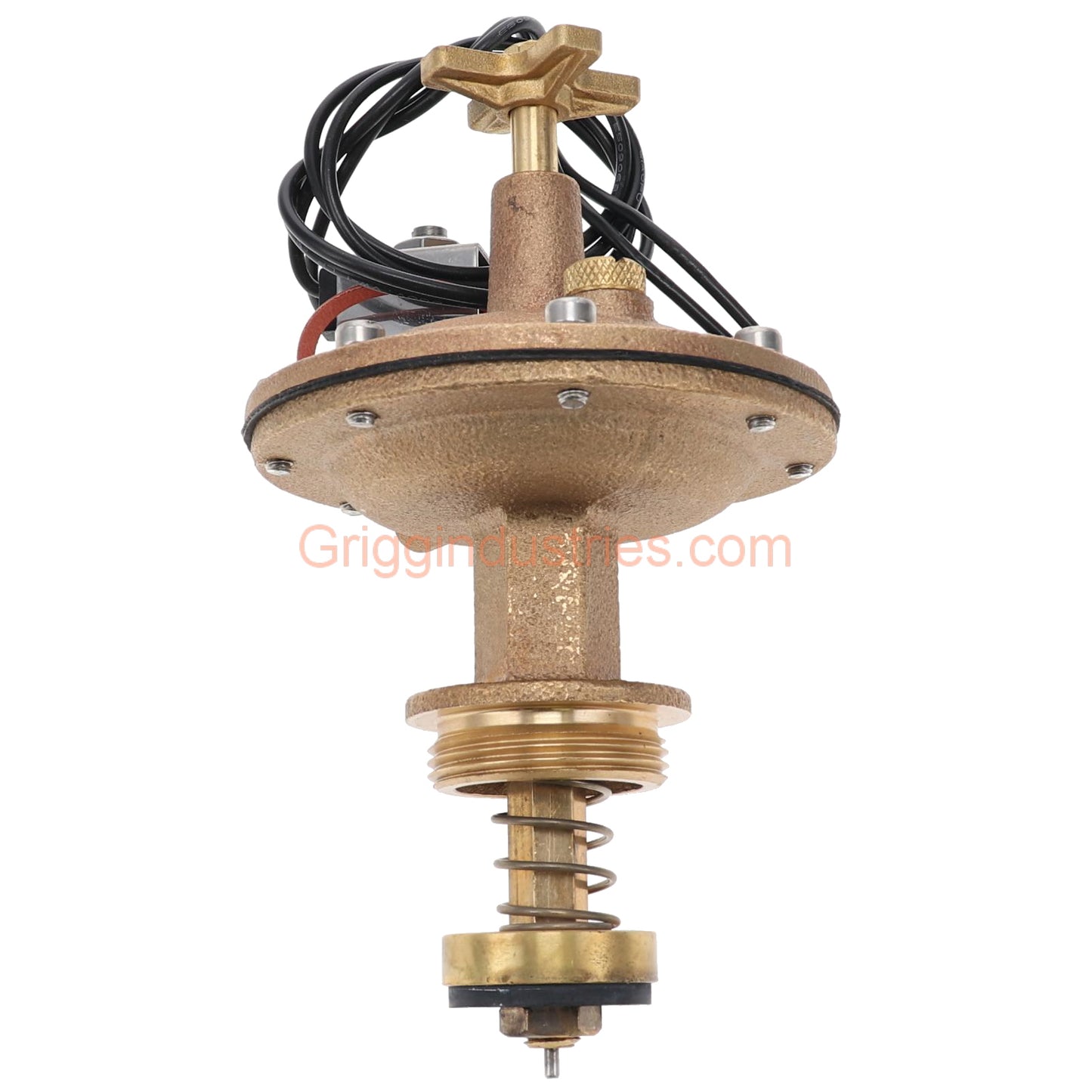 Champion Irrigation CL-100-B Classic 1" Automatic Actuator