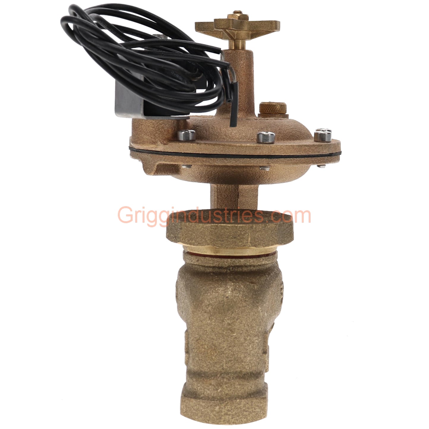 Champion Irrigation 466P-075 3/4" Anti-Siphon Valve With 3/4" Classic Automatic Actuator