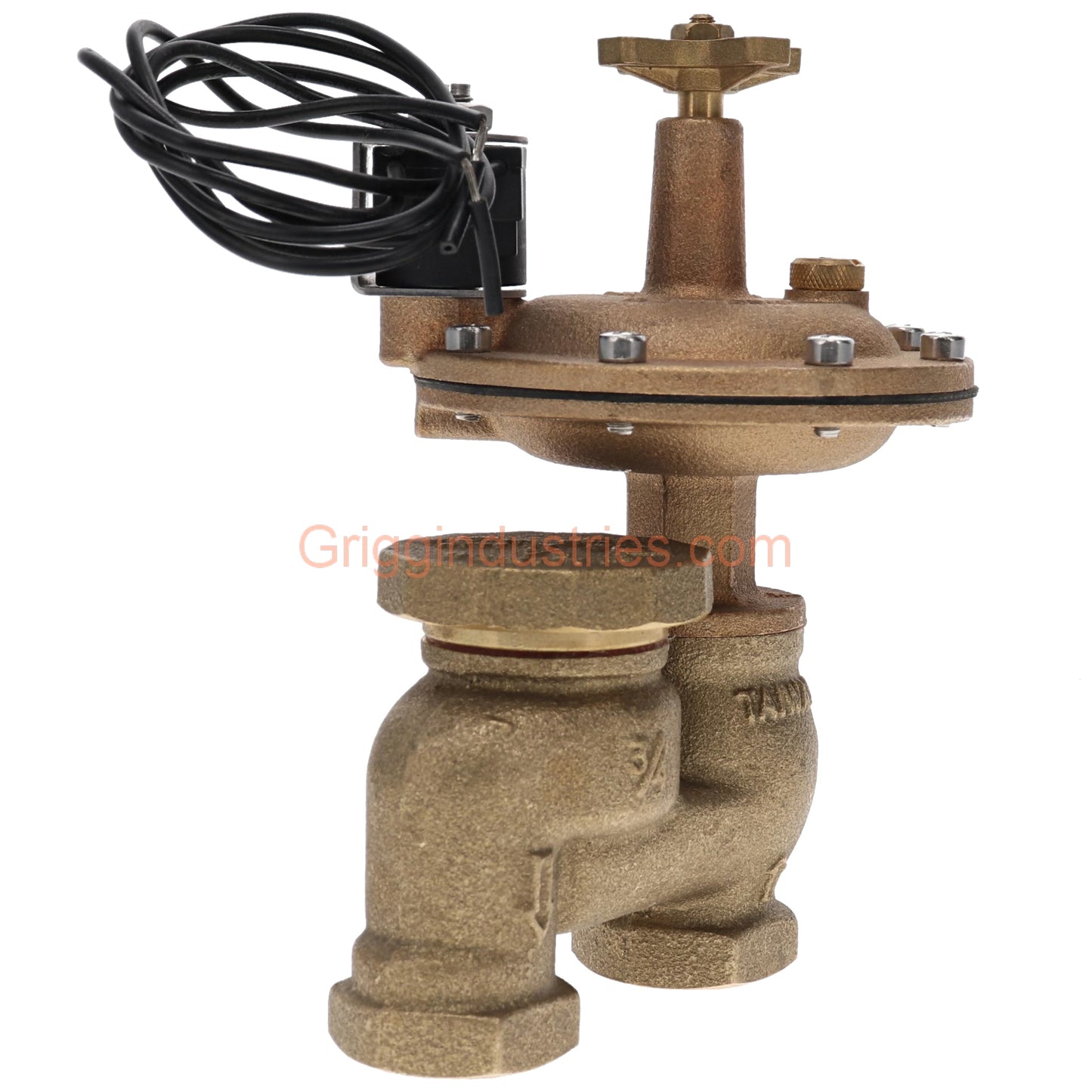 Champion Irrigation 466P-075 3/4" Anti-Siphon Valve With 3/4" Classic Automatic Actuator