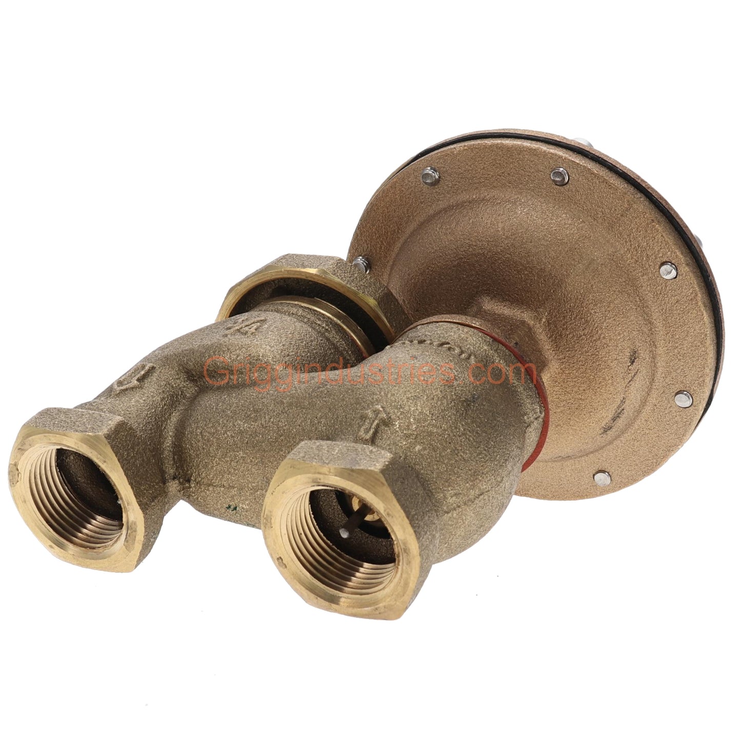 Champion Irrigation 466P-075 3/4" Anti-Siphon Valve With 3/4" Classic Automatic Actuator