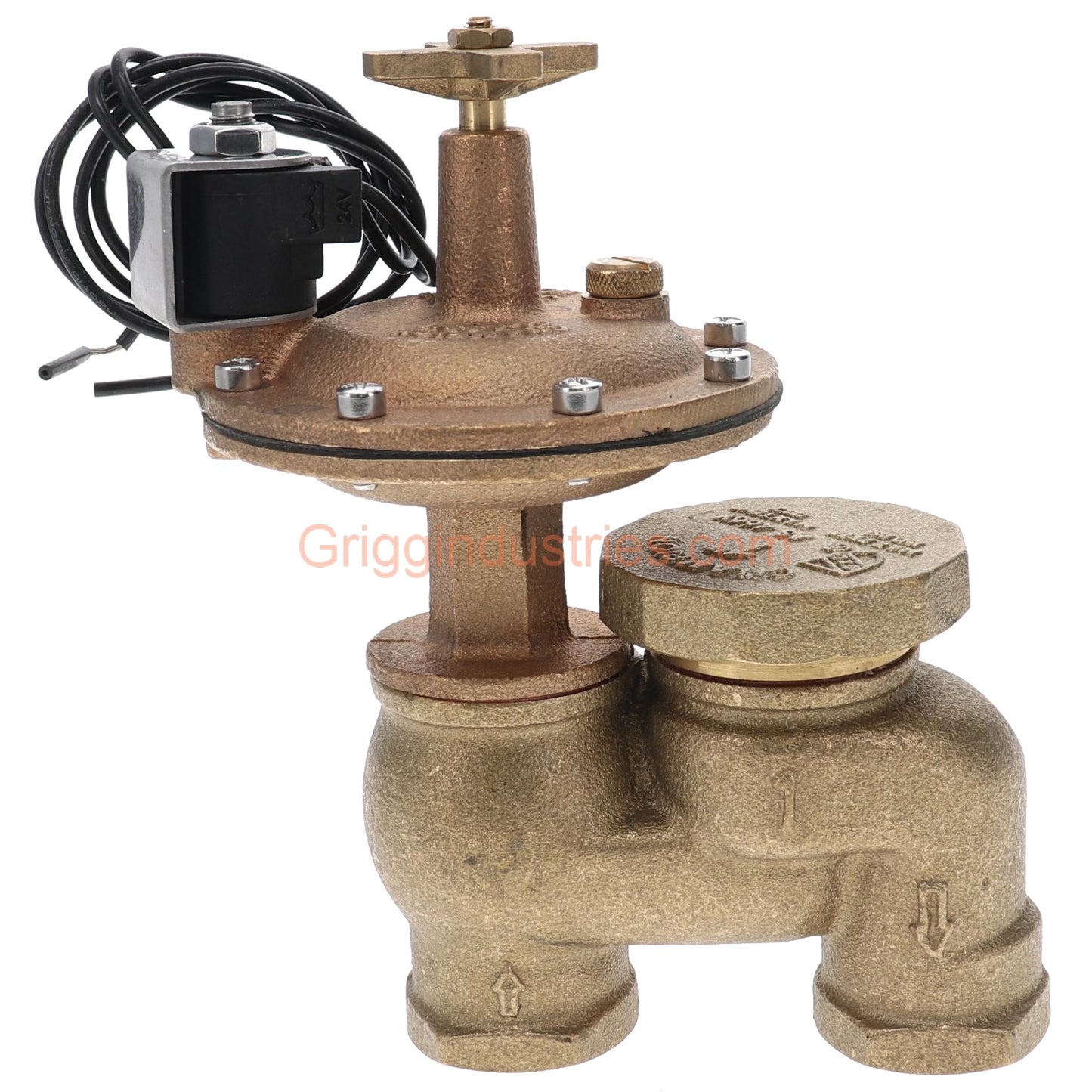 Champion Irrigation CL466P-100 1" Anti-Siphon Valve With 1" Classic Automatic Actuator