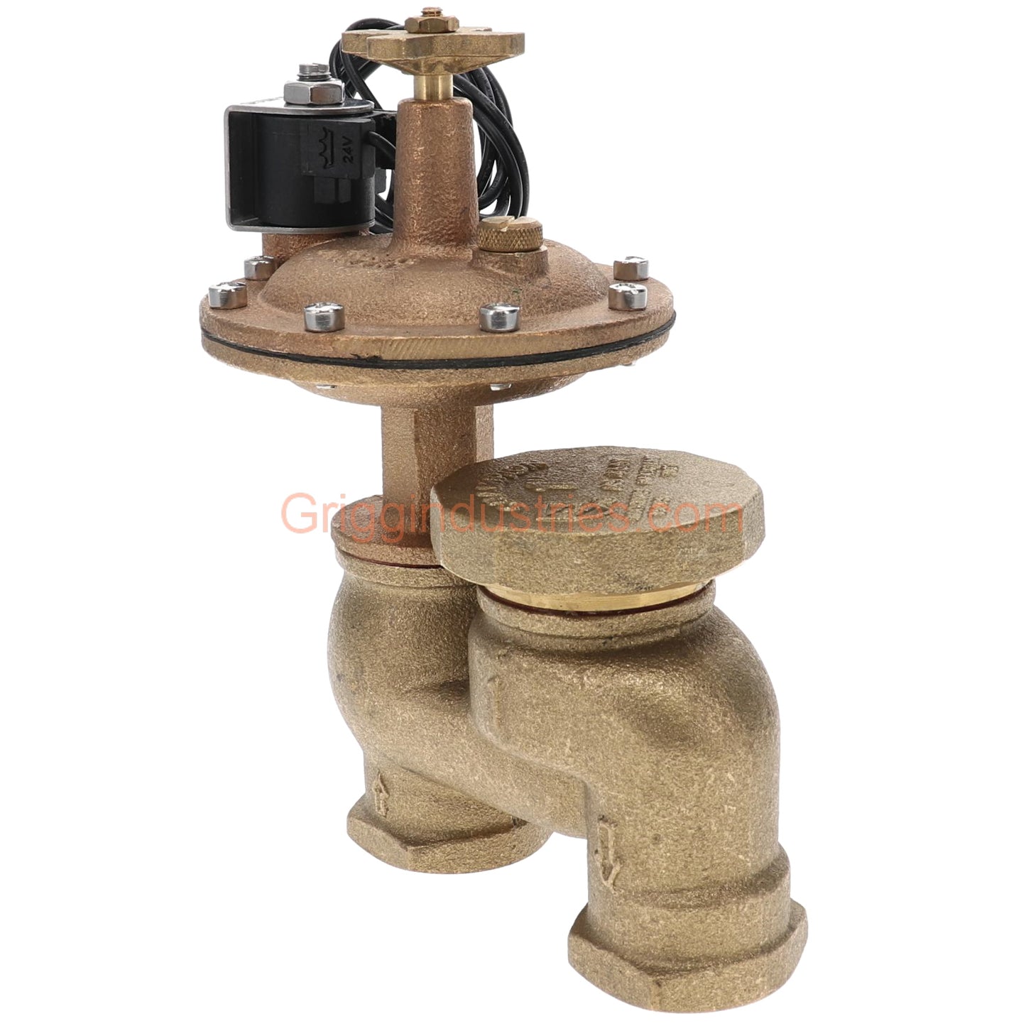 Champion Irrigation CL466P-100 1" Anti-Siphon Valve With 1" Classic Automatic Actuator