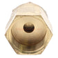 Champion Irrigation S9H Brass Shrub Adapter W/ Half Circle Spray Nozzle