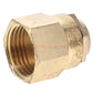 Champion Irrigation S9H Brass Shrub Adapter W/ Half Circle Spray Nozzle