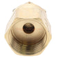 Champion Irrigation S9S Brass Shrub Adapter W/ Side Strip Nozzle