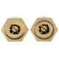 Champion Irrigation 2-Pack SSQ-C Square Spray Brass Pop-up Spray Nozzle
