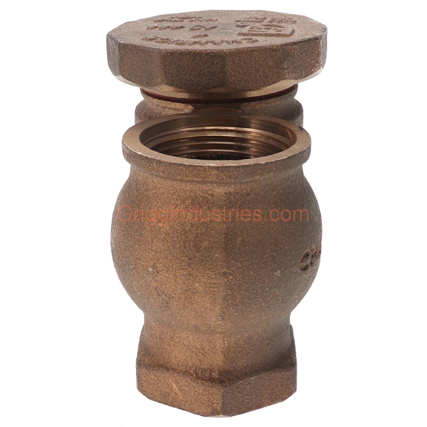 Champion Irrigation V-19-466P-100Y 1" Anti-Siphon Valve Body
