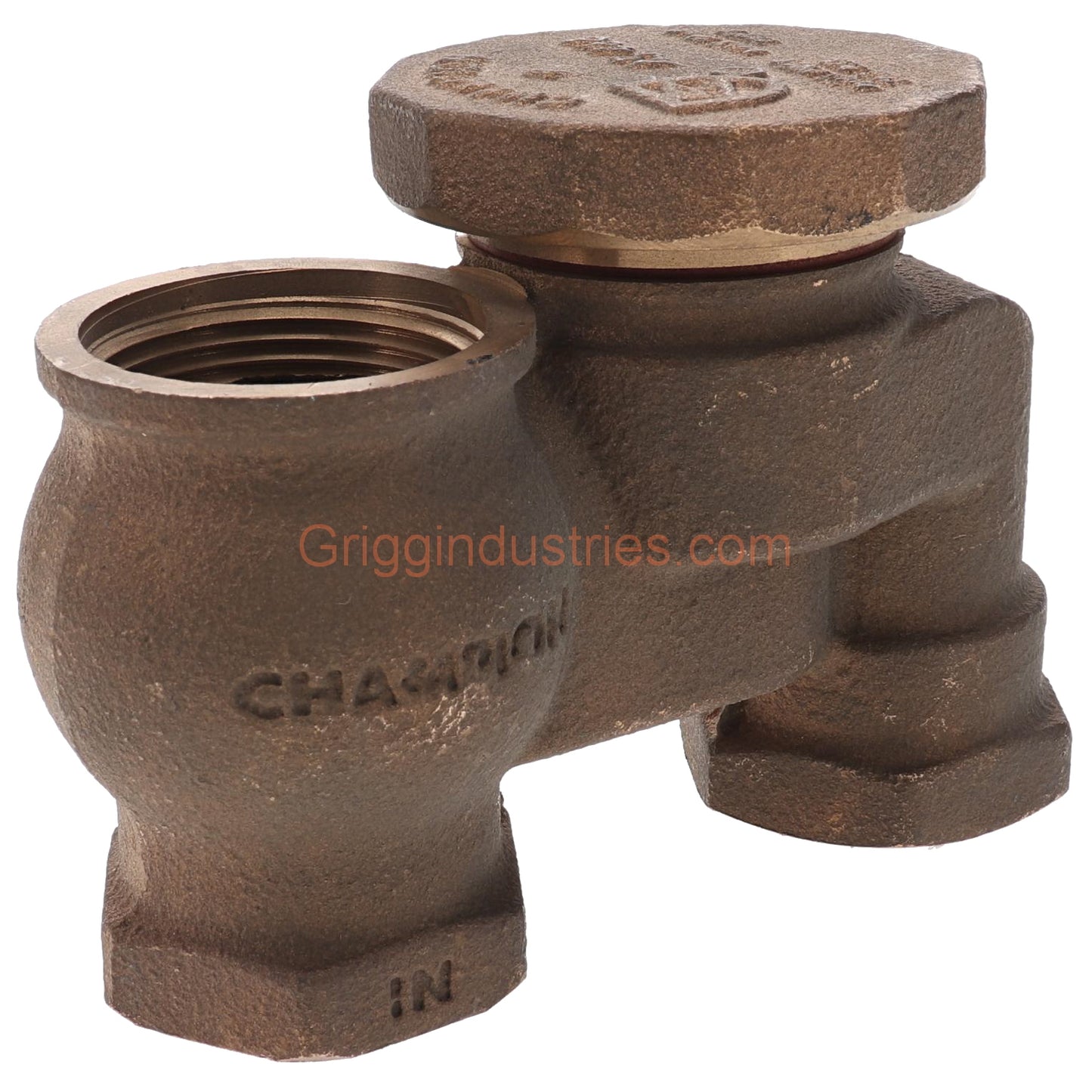 Champion Irrigation V-19-466P-100Y 1" Anti-Siphon Valve Body