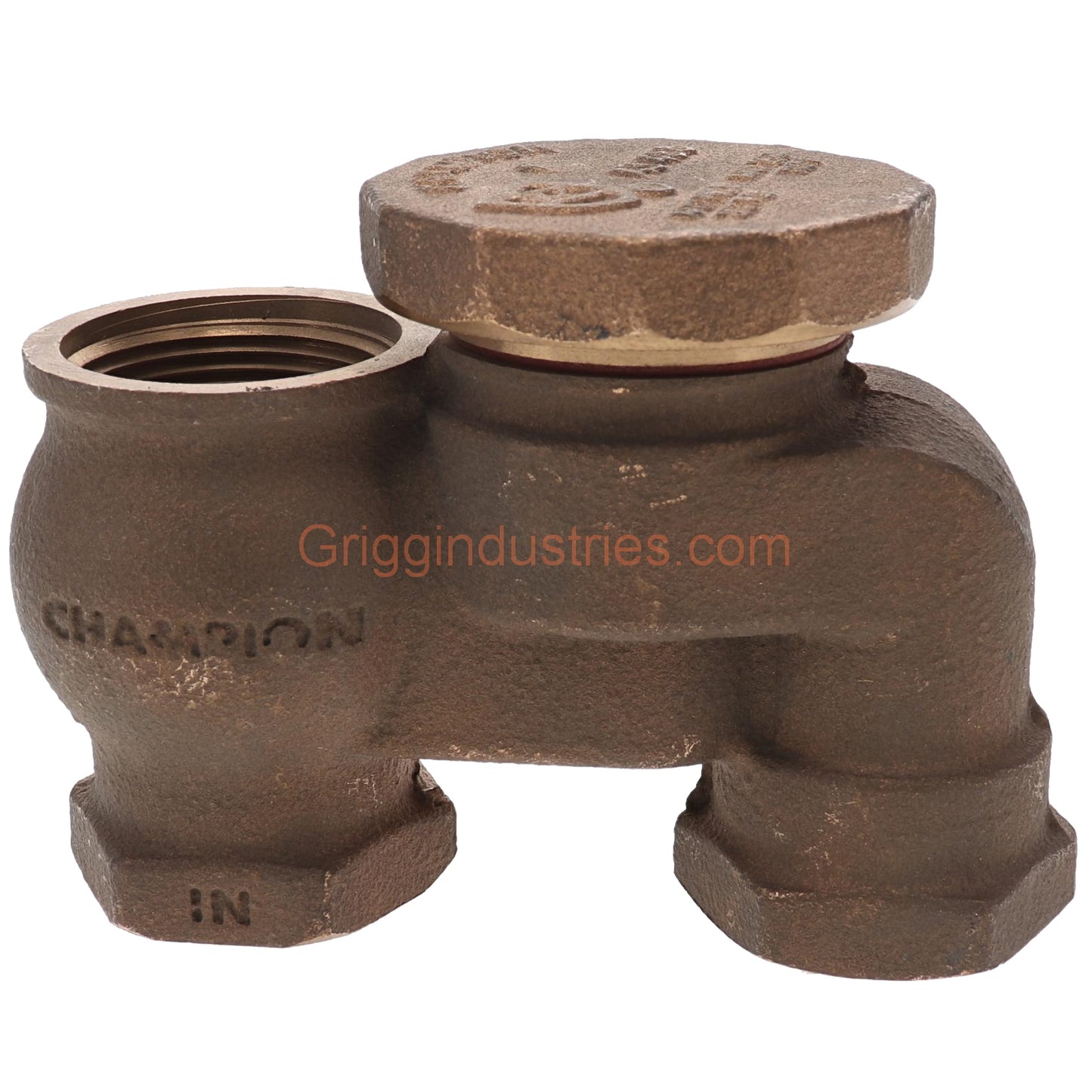 Champion Irrigation V-19-466P-100Y 1" Anti-Siphon Valve Body