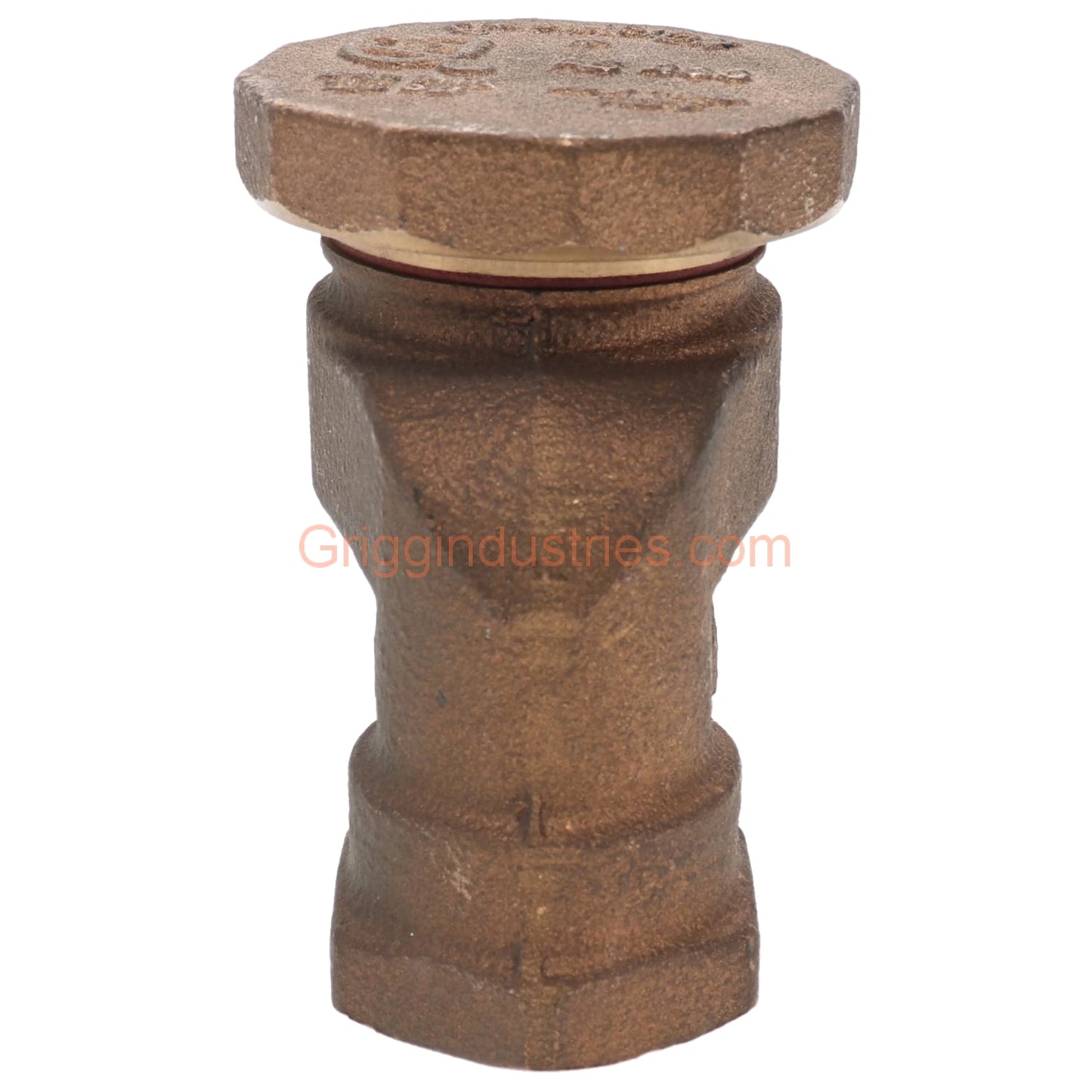 Champion Irrigation V-19-466P-100Y 1" Anti-Siphon Valve Body