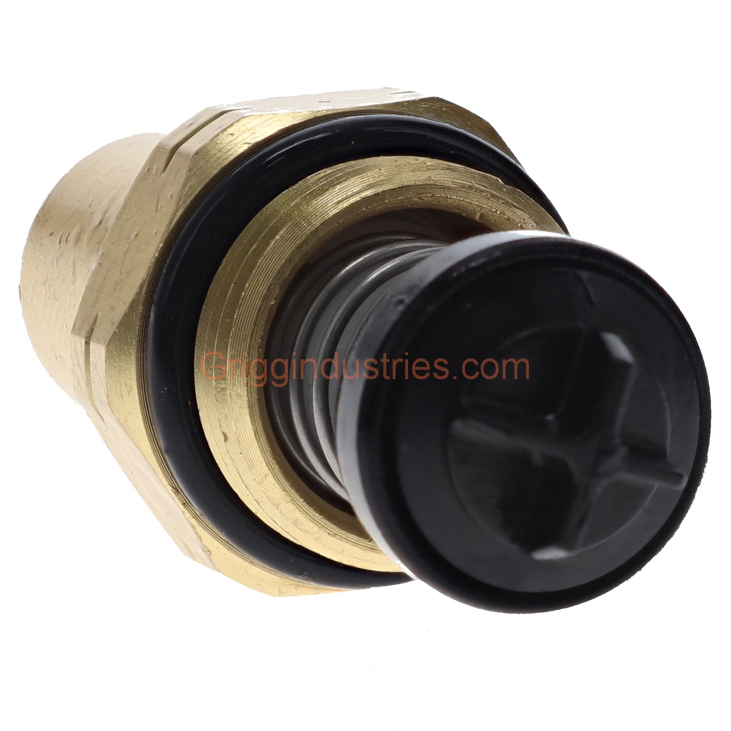Plumbers Emporium A507178 Check Valve