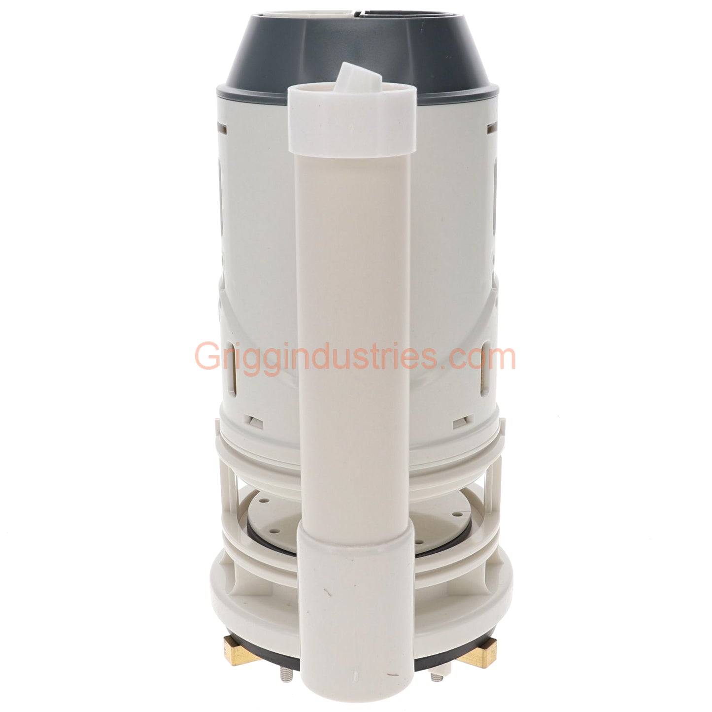 Water Ridge A700246-GBG1 One Piece Dual Flush Valve