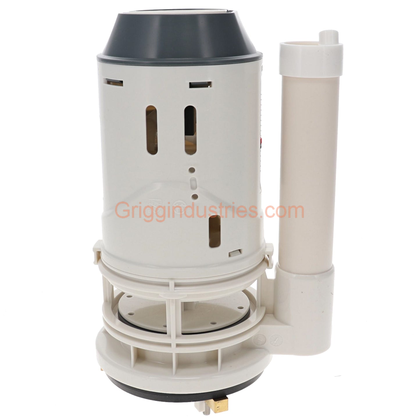 Water Ridge A700246-GBG1 One Piece Dual Flush Valve