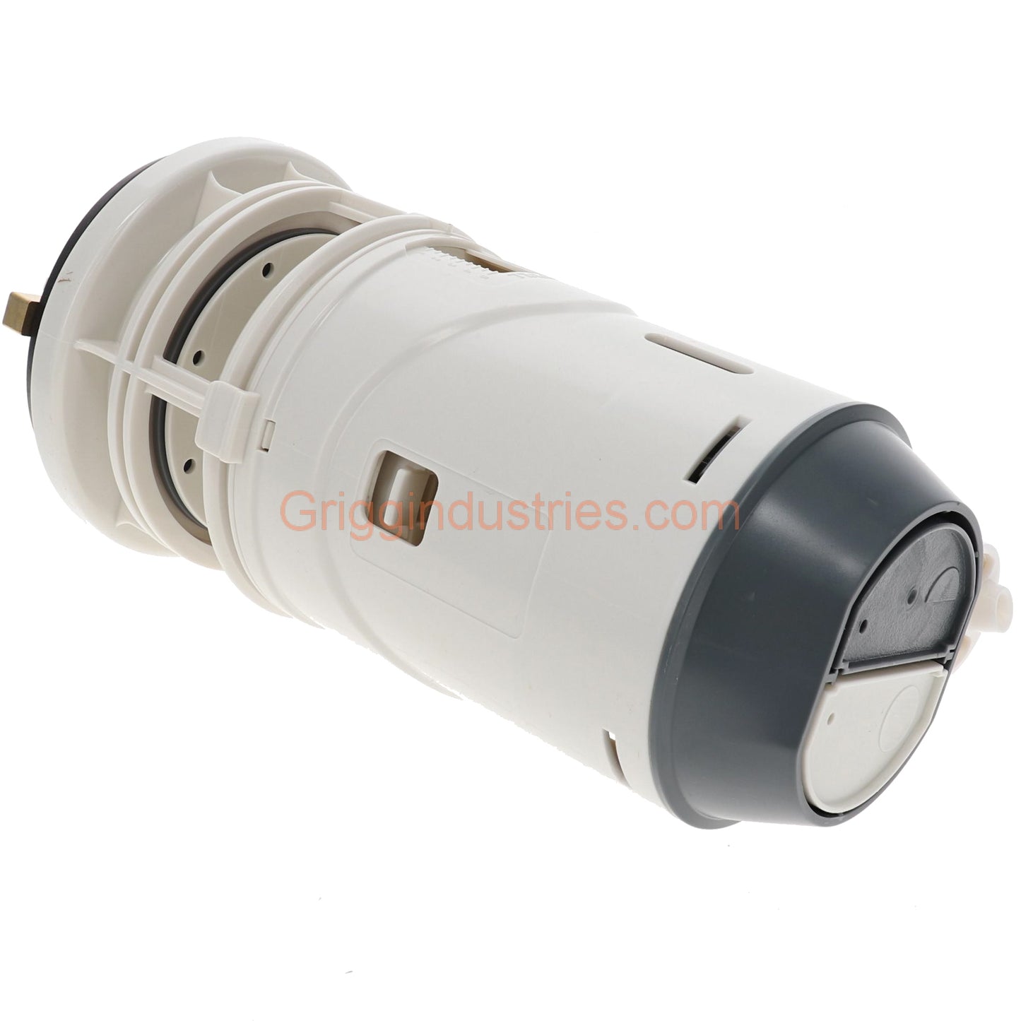 Water Ridge A700246-GBG1 One Piece Dual Flush Valve