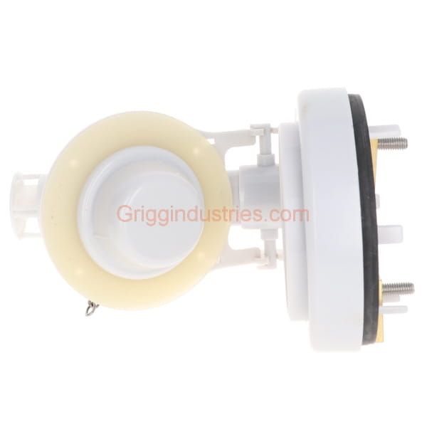 Briggs A21025 Flush Valve