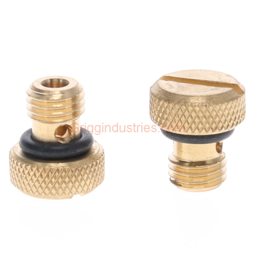 Champion RK-29C Brass Bleed Screw