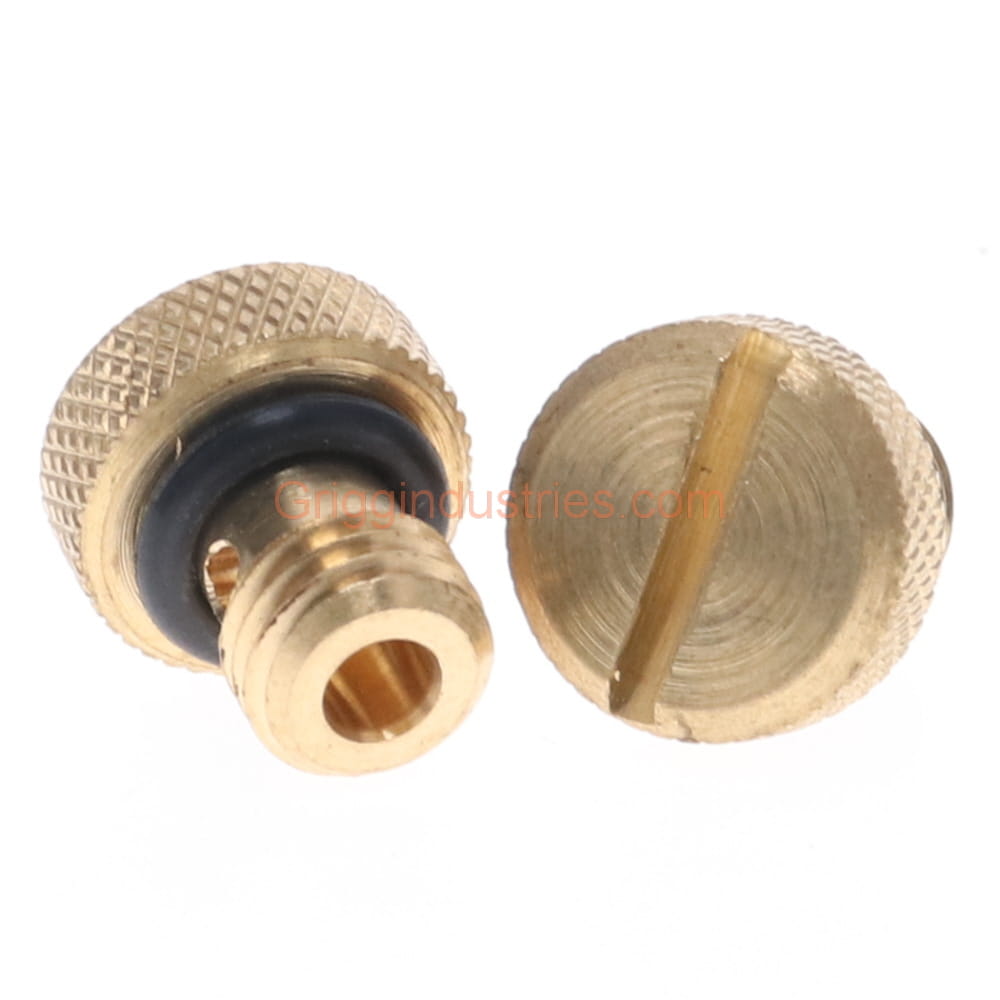 Champion RK-29C Brass Bleed Screw